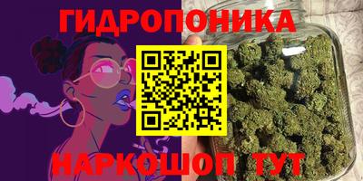 крисы Пенза