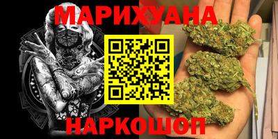 крисы Пенза