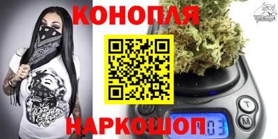 крисы Пенза