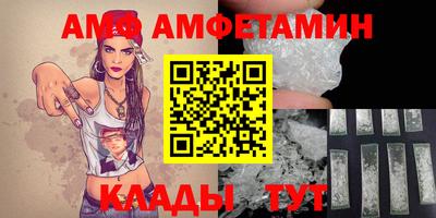 крисы Пенза