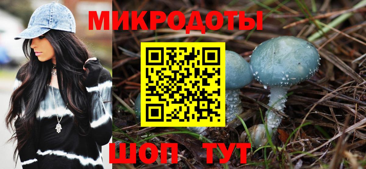 Тайшет  Галлюциногенные грибы Psilocybe  Вход с VPN  Псилоцибиновые грибы ЛСД 